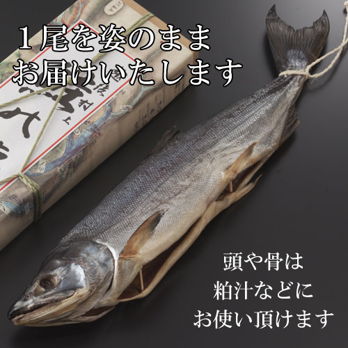 下越の塩引き鮭 水彩画 F10サイズ 下越の塩引き鮭 水彩画 F10サイズ 下越の塩引き鮭 水彩画 F10